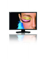 Nec SpectraView Reference 241 (60002993) Nec SpectraView Reference 241 (60002993)